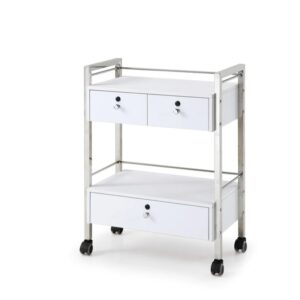DERMA TROLLEY | DP-6104